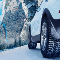 Фото товара - 205/50/17 93T Cordiant Snow Cross 2. Вариант №4