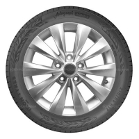 Фото товара - 265/55/19 113Y Ikon / Nokian Tyres Autograph Aqua 3 SUV XL. Вариант №3
