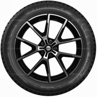 Фото товара - 225/65/17 106R Triangle PL01 SnowLink XL M+S 3PMSF. Вариант №3