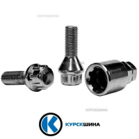 Фото товара - Болт секретный М 12*1,25*55*30 (4+1)(Вектор). Вариант №1