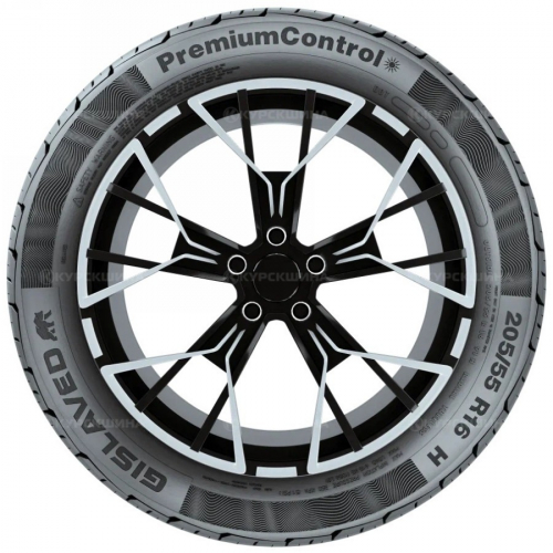 Большое фото товара - 205/55/16 91H Gislaved PremiumControl, 526617. Вариант №3