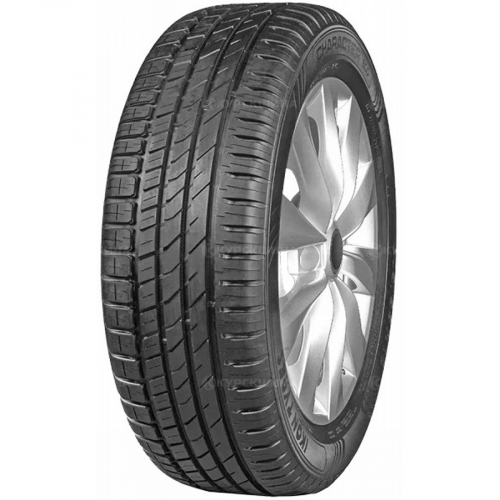 Большое фото товара - 195/55/15 89H Ikon / Nokian Tyres Character Eco XL, 535323. Вариант №1